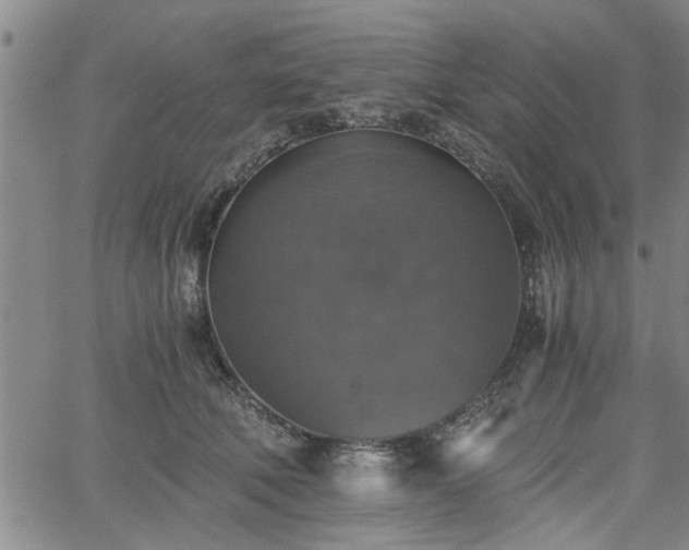 X0000058780610200510031022