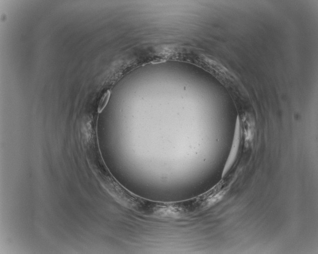 X0000058780611200510031022