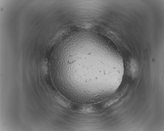 X0000058780612200510031022