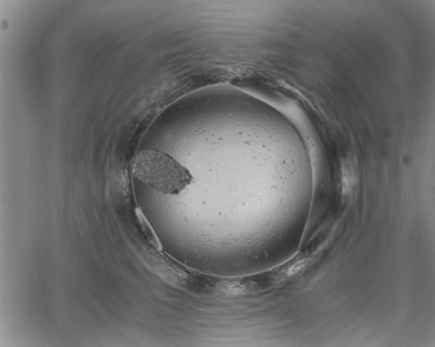 X0000058780613200510031022