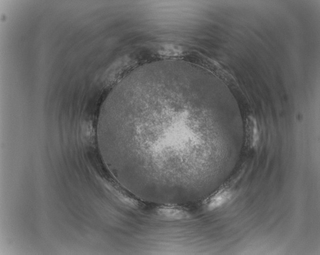 X0000058780614200510031022