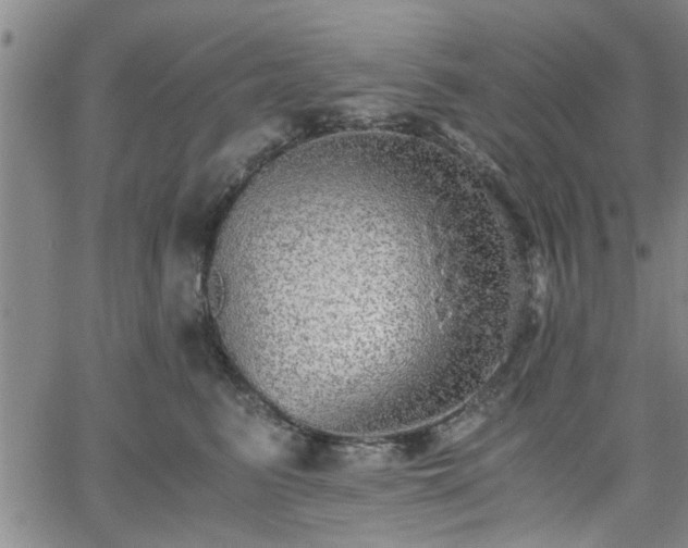 X0000058780615200510031022