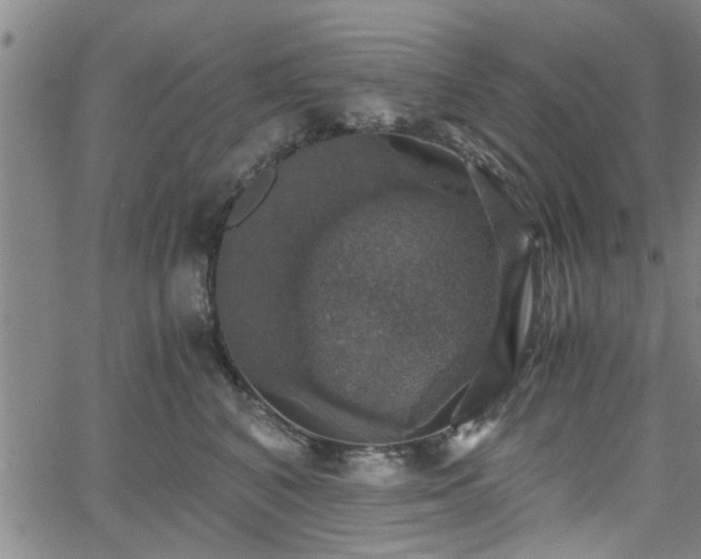 X0000058780616200510031022