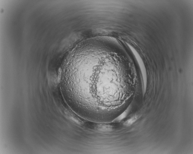 X0000058780617200510031022