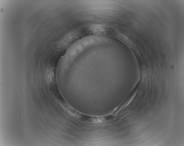 X0000058780618200510031022