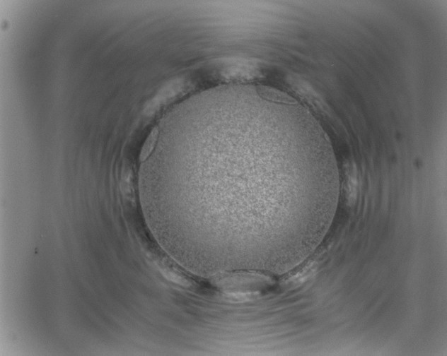 X0000058780619200510031022