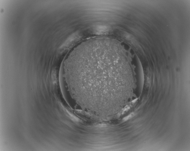 X0000058780620200510031022