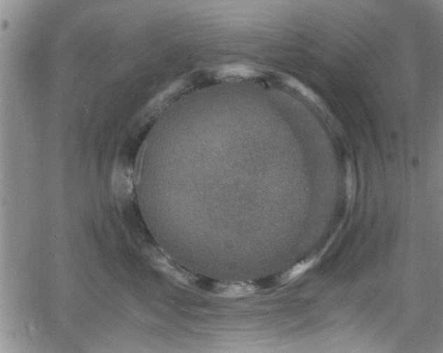 X0000058780621200510031022