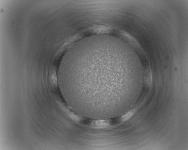 X0000058780622200510031022