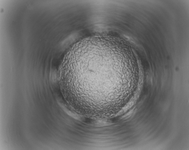 X0000058780623200510031021