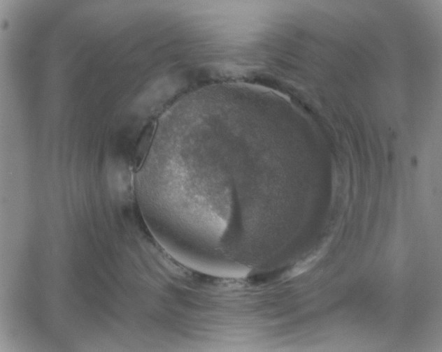 X0000058780624200510031021