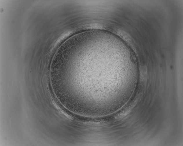 X0000058780625200510031021