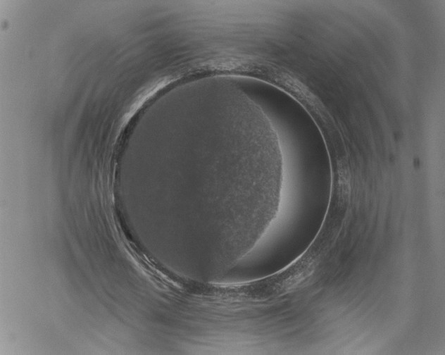 X0000058780626200510031021