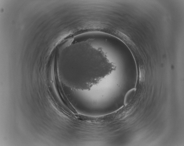 X0000058780627200510031021