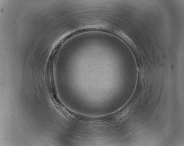 X0000058780628200510031021