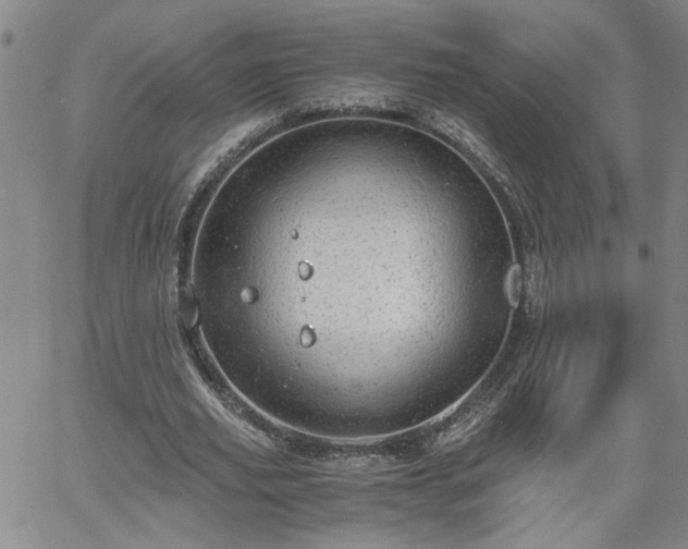 X0000058780629200510031021