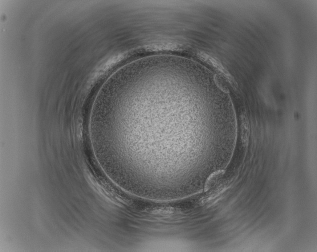 X0000058780631200510031021