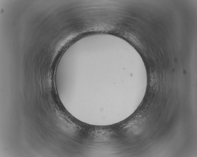 X0000058780632200510031021