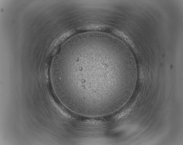 X0000058780633200510031021