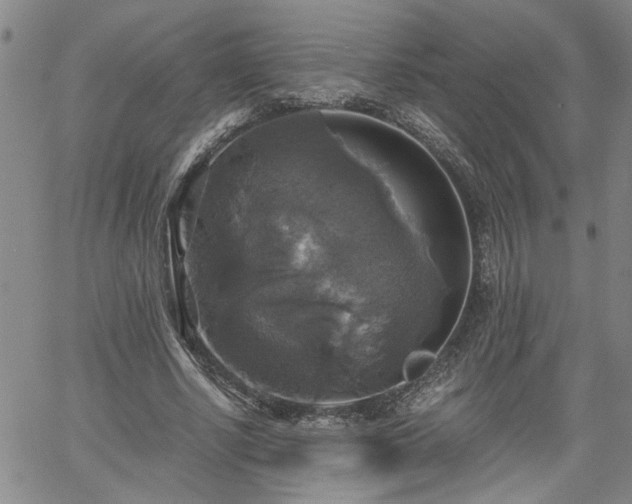 X0000058780634200510031021