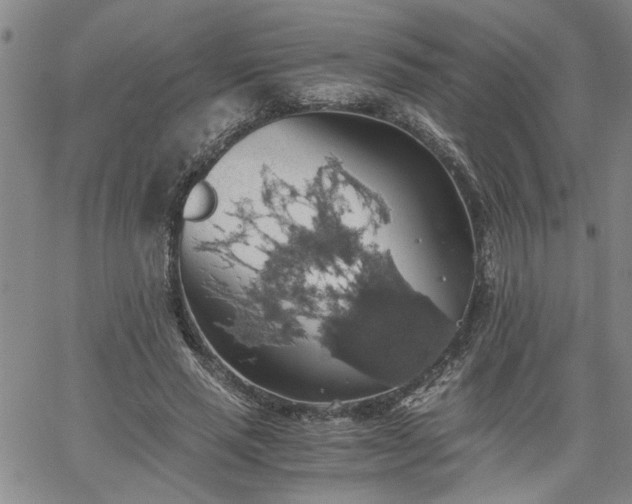 X0000058780637200510031021