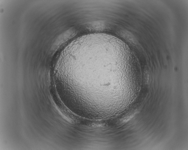 X0000058780638200510031021