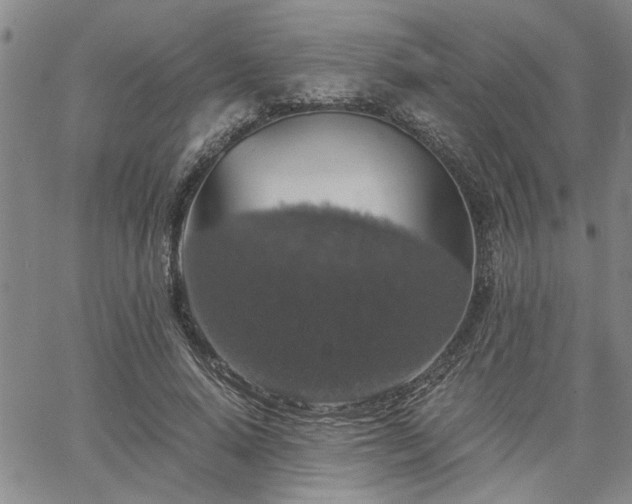 X0000058780640200510031021