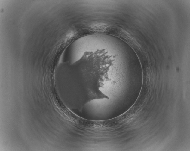 X0000058780641200510031021