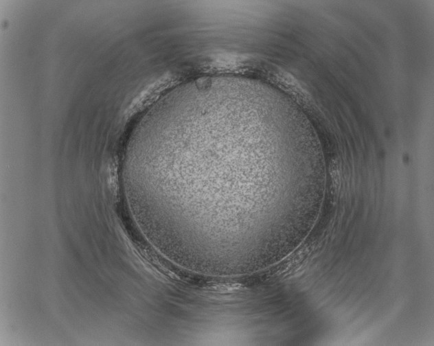 X0000058780642200510031021