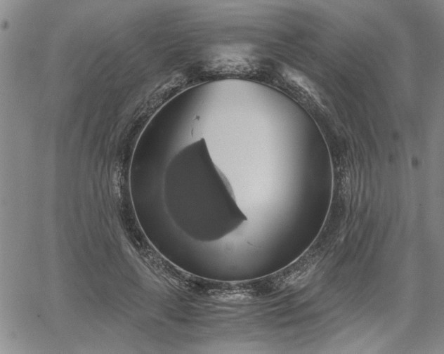 X0000058780643200510031021