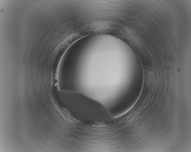 X0000058780644200510031021