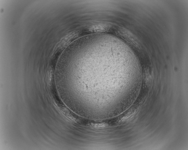 X0000058780645200510031021