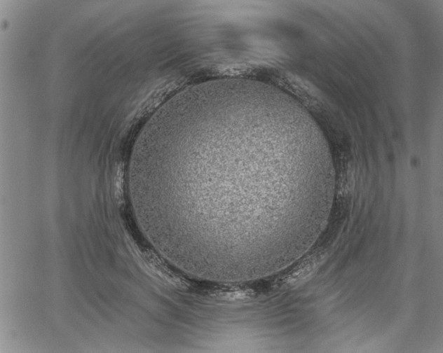 X0000058780646200510031021