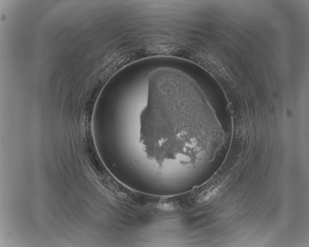 X0000058780647200510031021