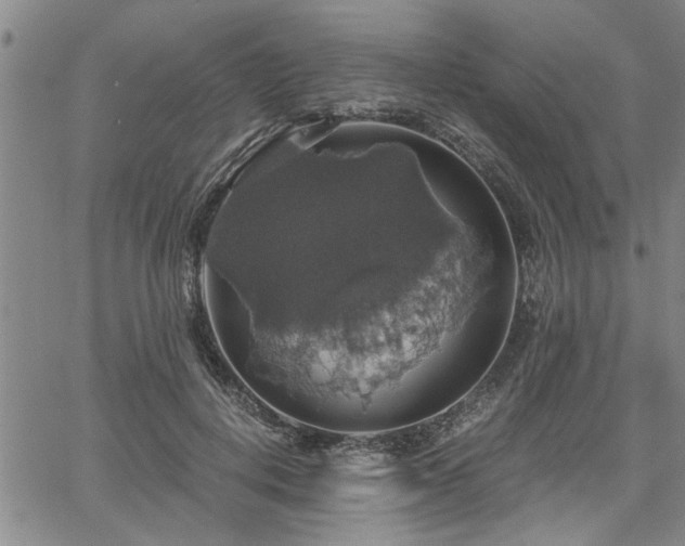 X0000058780648200510031021