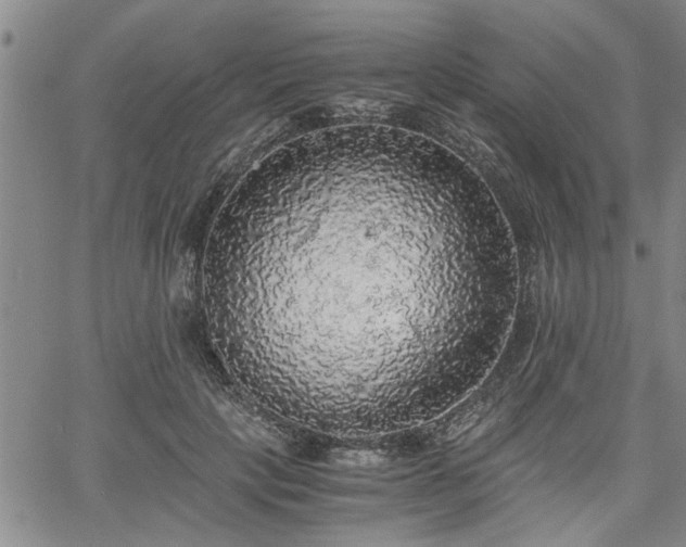 X0000058780649200510031021