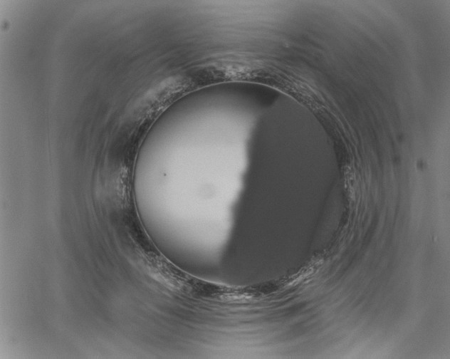 X0000058780650200510031021