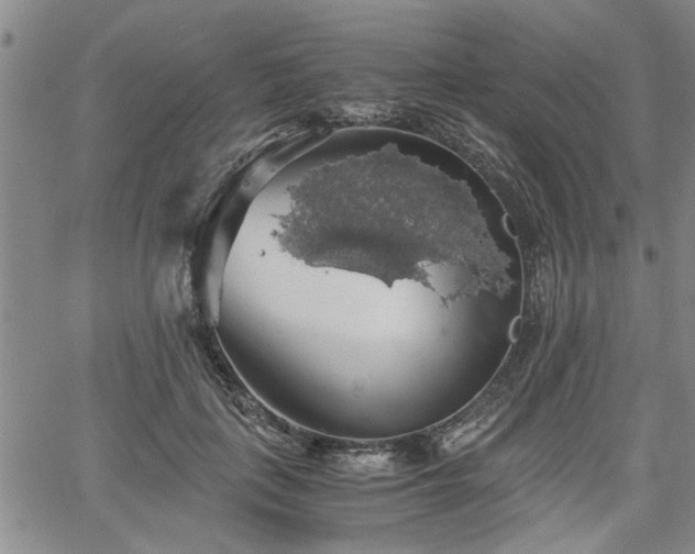 X0000058780651200510031021