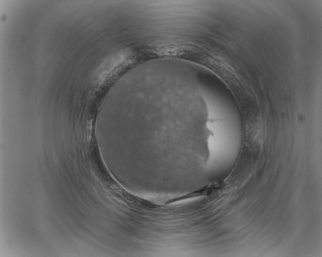 X0000058780652200510031021