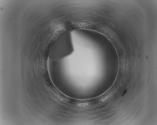 X0000058780653200510031021