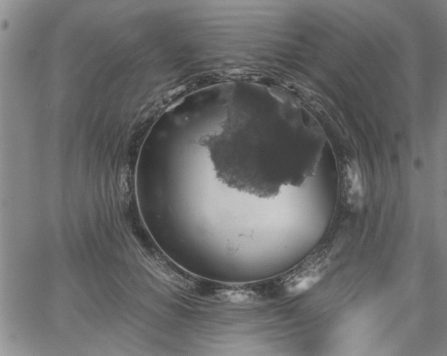 X0000058780654200510031021