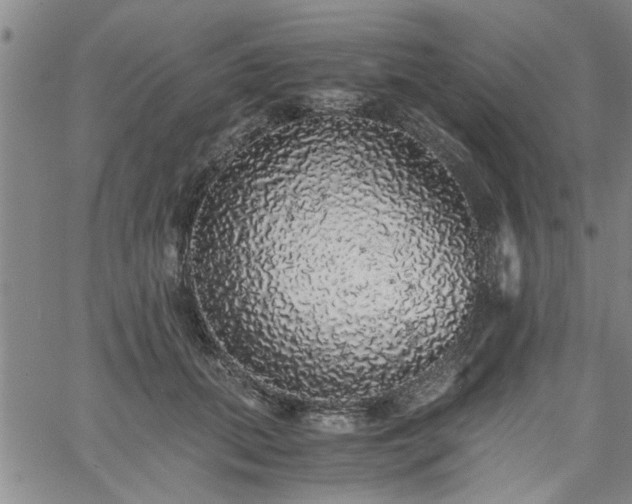 X0000058780655200510031021