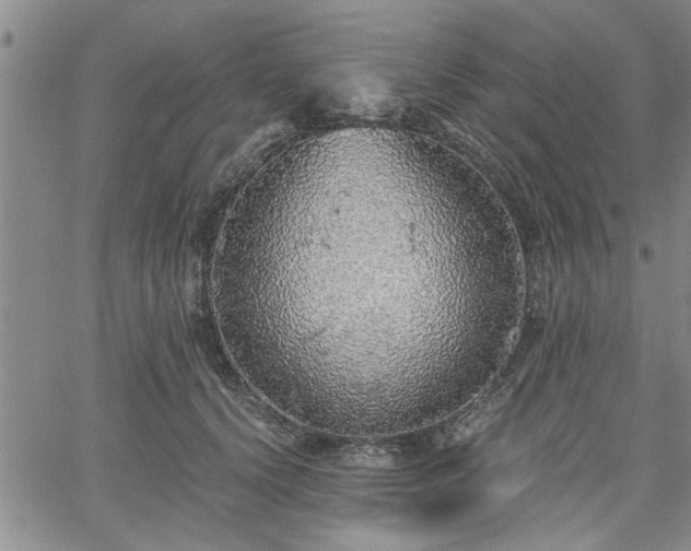 X0000058780656200510031021