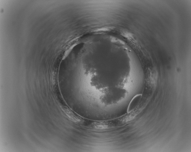 X0000058780658200510031021