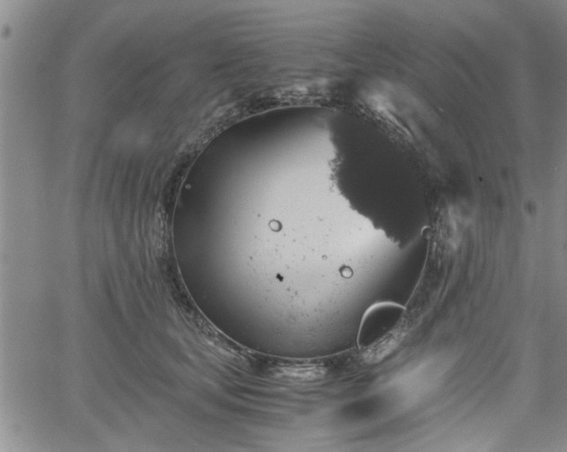 X0000058780659200510031021