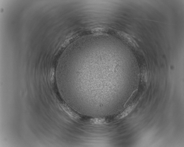 X0000058780660200510031021