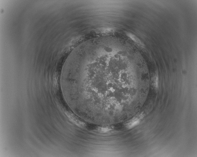 X0000058780662200510031021