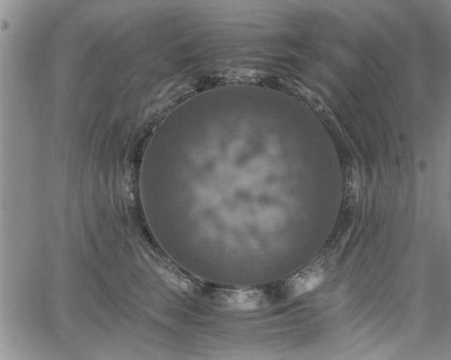 X0000058780663200510031021