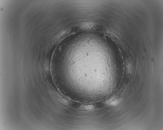 X0000058780665200510031021