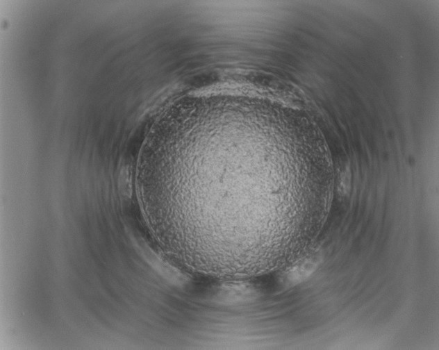 X0000058780666200510031021